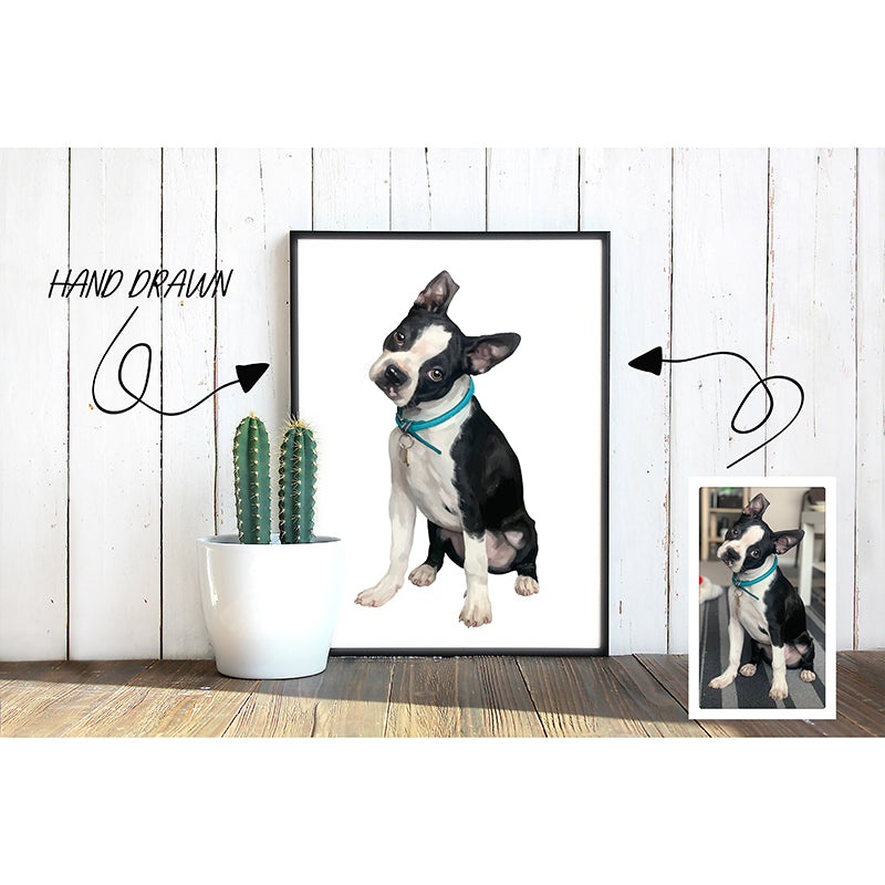 Pet Portraits Without Background