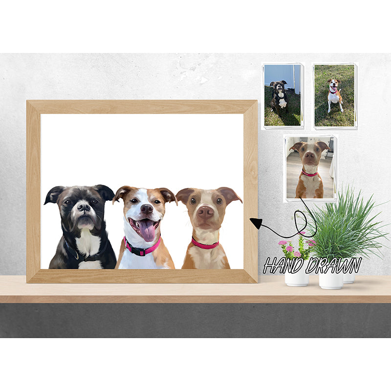 Pet Portraits Without Background