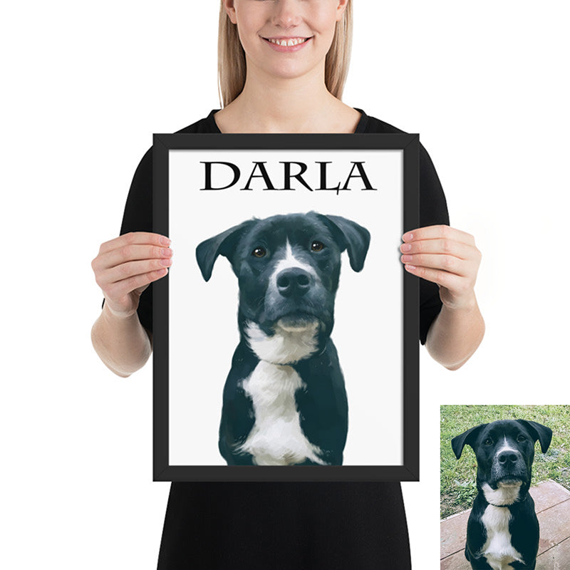 Pet Portraits Without Background