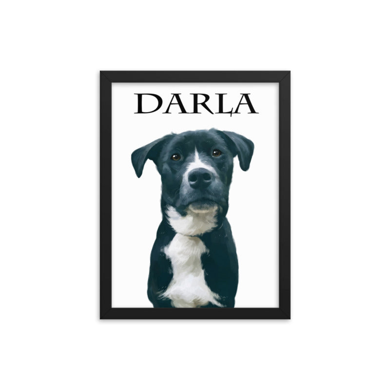 Pet Portraits Without Background