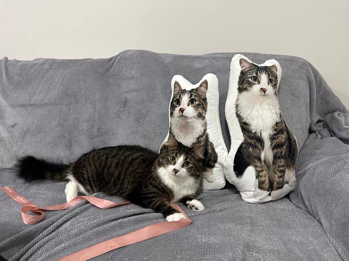 Custom Pet 3D Pillow, Pet Shaped Pillow Large, Double-sided Print